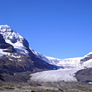 Athabasca Glacier Disappears by Losing 5 Metres Per Year Since 2015