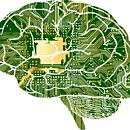 All Global Computer Power Now Equals Human Brain Power