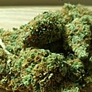 Marijuana Used to Treat PTSD